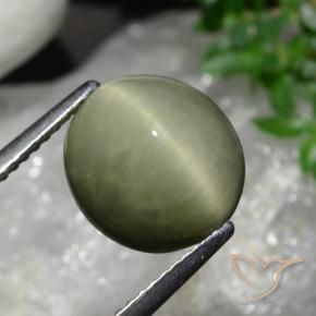 Quartz Œil de Chat Vert militaire naturelle ovale, 5.58 ct, Opaque