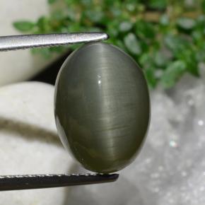 Quartz Œil de Chat Vert terreux naturelle Coupe ovale, 6.97 ct, Opaque