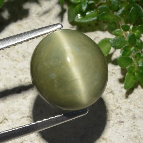 Quartz Œil de Chat Vert chaud naturelle Coupe ovale, 6.19 ct, Opaque