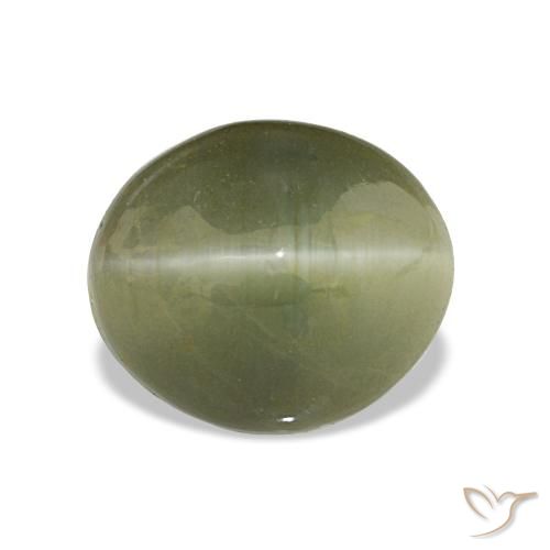 Quartz Œil de Chat Vert jaunâtre naturelle Coupe ovale, 6.98 ct, Opaque