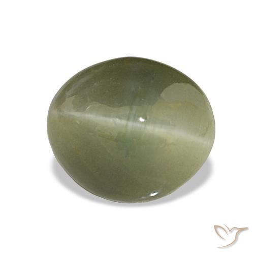 Quartz Œil de Chat Vert jaunâtre naturelle Coupe ovale, 6.98 ct, Opaque
