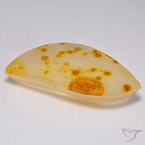 Quartz avec marcassite Multicolore naturelle Fantaisie, 36.28 ct, Transparent