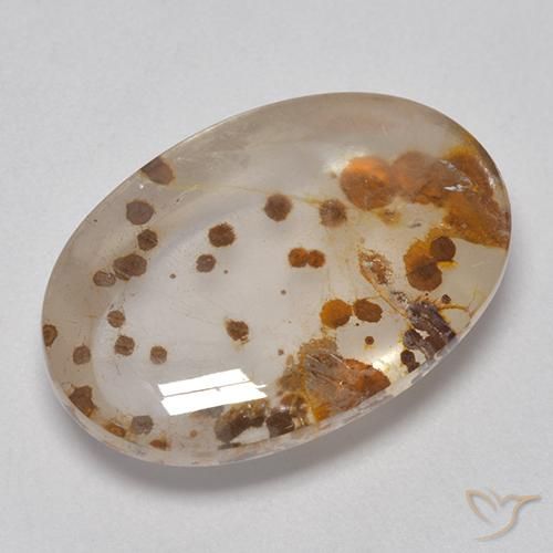 Quartz avec marcassite Multicolore naturelle ovale, 16.00 ct, Transparent