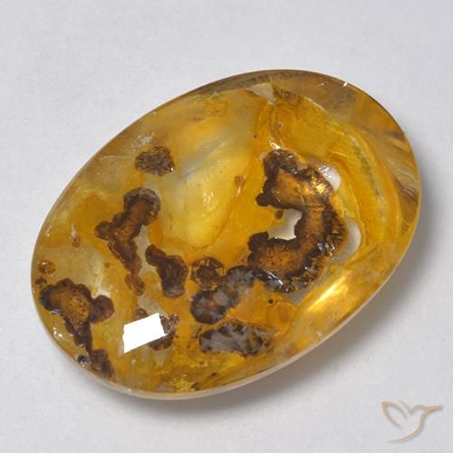 Quartz avec marcassite Multicolore naturelle ovale, 18.71 ct, Transparent