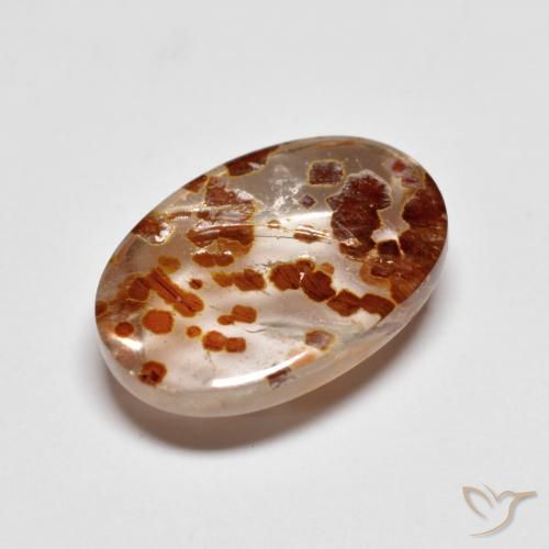 Quartz avec marcassite Multicolore naturelle ovale, 6.22 ct, Transparent