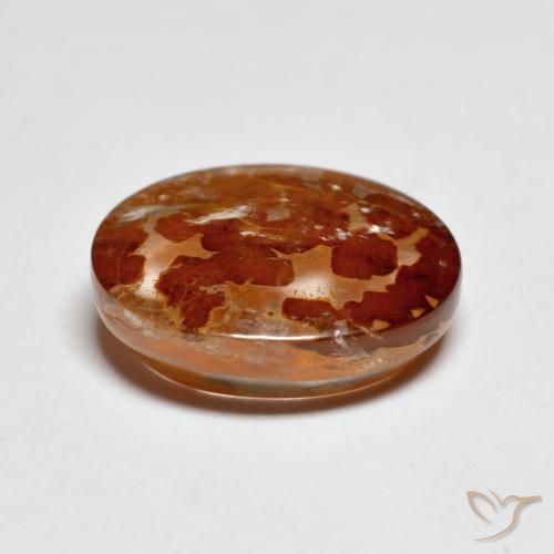 Quartz avec marcassite Multicolore naturelle ovale, 5.24 ct, Transparent