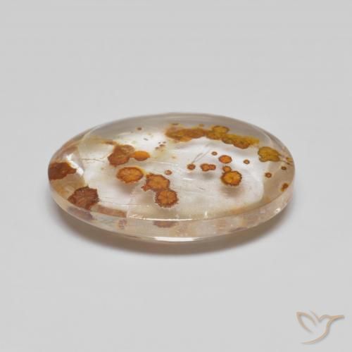 Quartz avec marcassite Multicolore naturelle ovale, 5.58 ct, Transparent