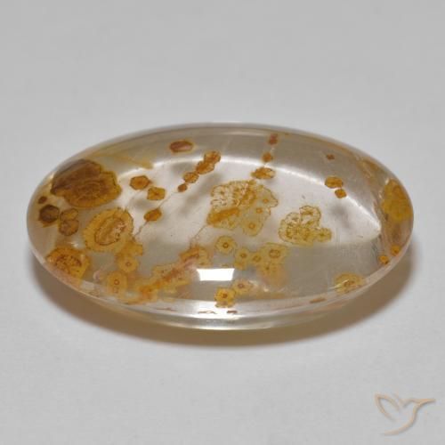 Quartz avec marcassite Multicolore naturelle ovale, 23.29 ct, Transparent
