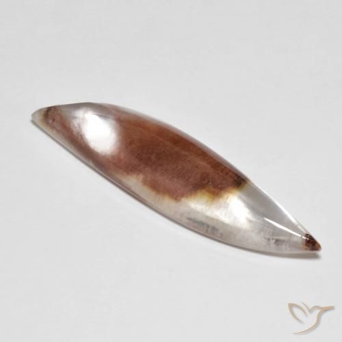 25.42ct Naturel Multicolore Quartz avec marcassite, Fantaisie, Translucide