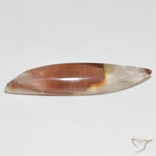 Quartz avec marcassite Multicolore naturelle Fantaisie, 25.42 ct, Translucide