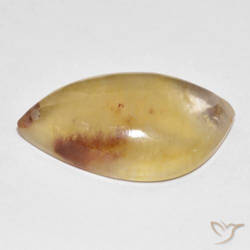 Quartz avec marcassite Multicolore naturelle Fantaisie, 15.66 ct, Translucide