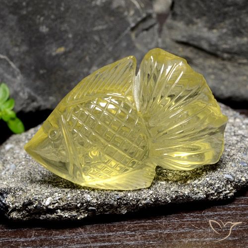 Quartz jaune naturelle forme fantaisie, 60,55 ct, transparent