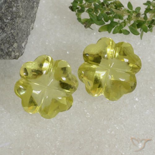 19.42ctw Naturel Jaune moyen Quartz, Taille Fleur, Transparent