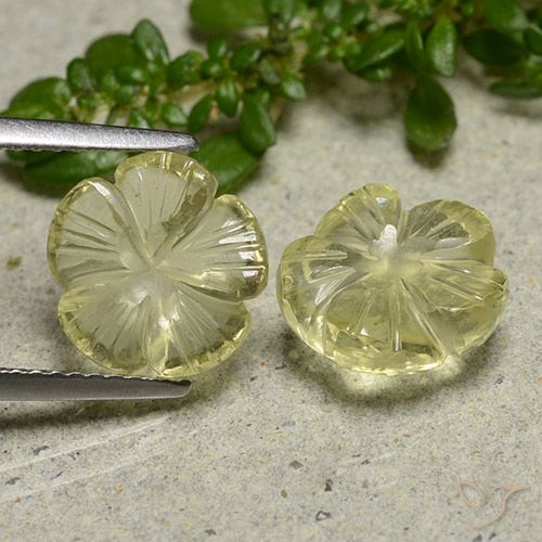 5.58ctw Naturel Jaune moyen Quartz, Taille Fleur, Transparent