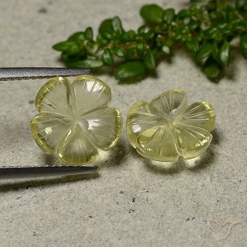 6.21ctw Naturel Jaune crème pâle Quartz, Taille Fleur, Transparent