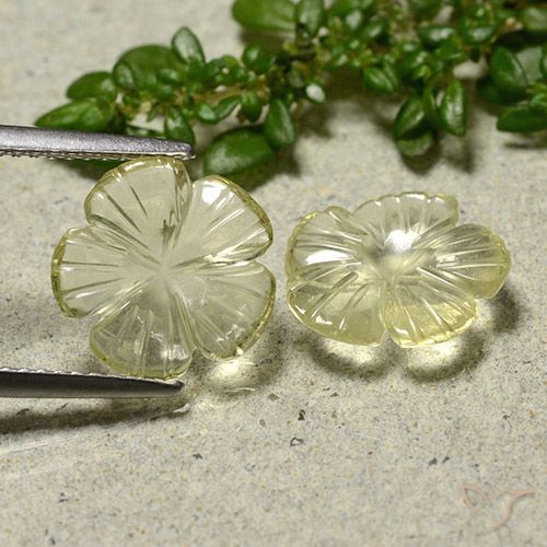3.68ctw Naturel Jaune moyen Quartz, Taille Fleur, Transparent