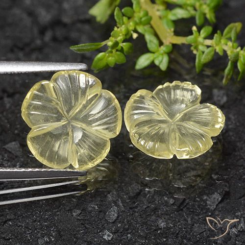 6.83ctw Naturel Jaune crème pâle Quartz, Taille Fleur, Transparent