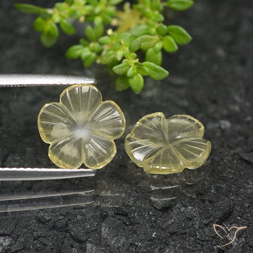 3.50ctw Naturel Jaune crème pâle Quartz, Taille Fleur, Transparent