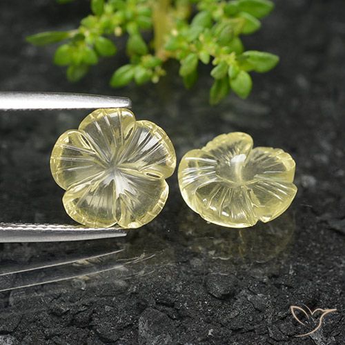 6.13ctw Naturel Jaune crème pâle Quartz, Taille Fleur, Transparent