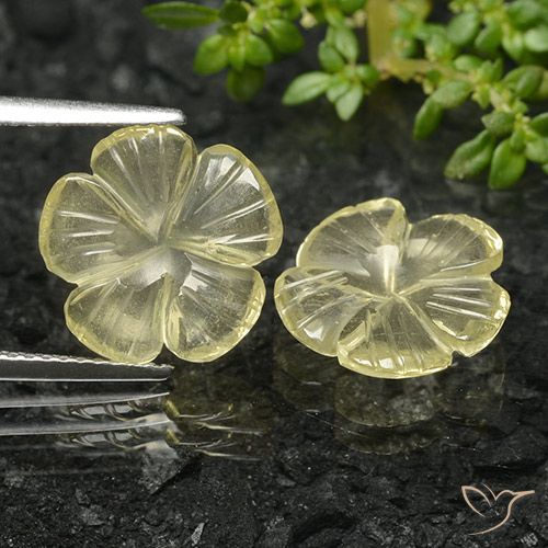 5.58ctw Naturel Jaune moyen Quartz, Taille Fleur, Transparent