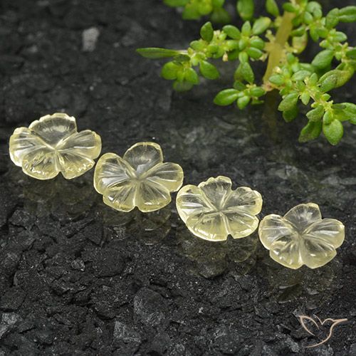 4.51ctw Naturel Jaune moyen Quartz, Taille Fleur, Transparent