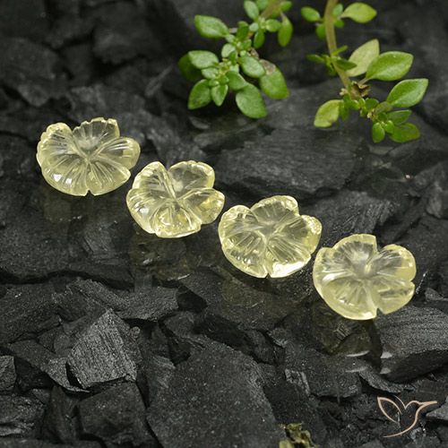 7.85ctw Naturel Jaune crème pâle Quartz, Taille Fleur, Transparent