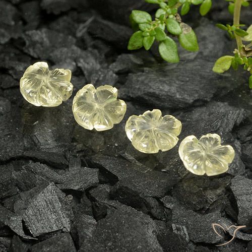 4.19ctw Naturel Jaune moyen Quartz, Taille Fleur, Transparent