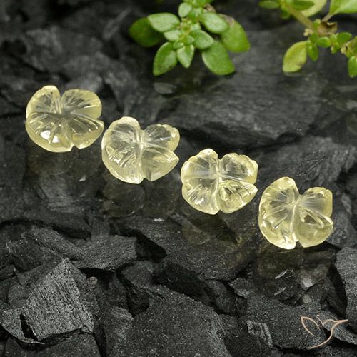 4.36ctw Naturel Jaune crème pâle Quartz, Taille Fleur, Transparent
