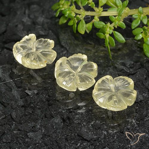 5.76ctw Naturel Jaune pâle Quartz, Taille Fleur, Transparent