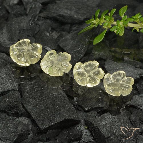4.30ctw Naturel Jaune pâle Quartz, Taille Fleur, Transparent