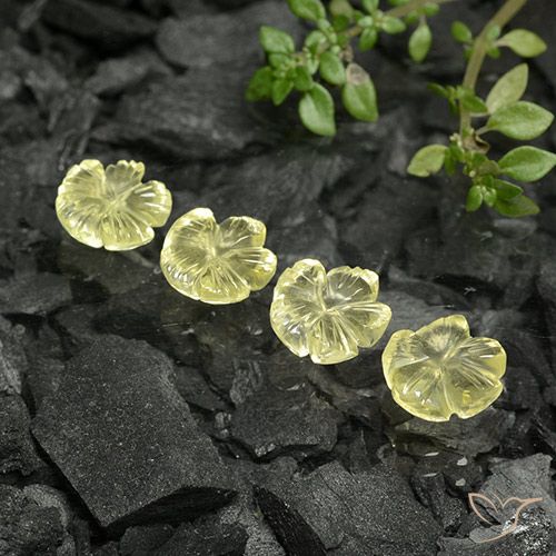 5.93ctw Naturel Jaune ananas léger Quartz, Taille Fleur, Transparent