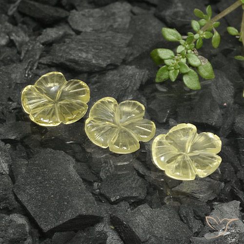 7.02ctw Naturel Jaune crème pâle Quartz, Taille Fleur, Transparent