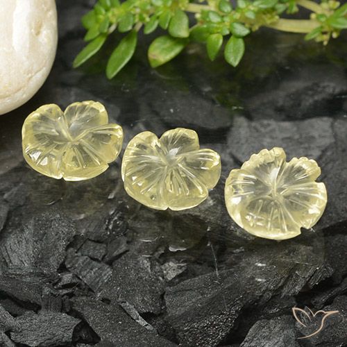 6.74ctw Naturel Jaune moyen Quartz, Taille Fleur, Transparent