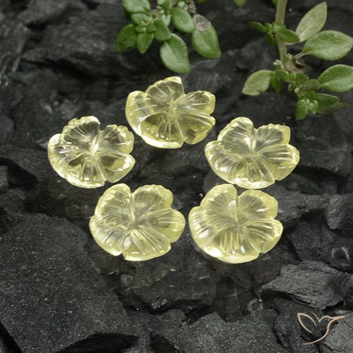 6.01ctw Naturel Jaune clair Quartz, Taille Fleur, Transparent