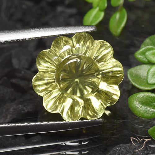 7.20ct Naturel Jaune moyen Quartz, Taille Fleur, Transparent