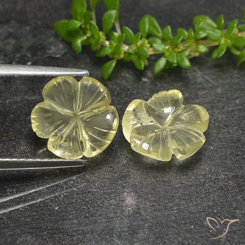 3.99ctw Naturel Jaune pâle Quartz, Taille Fleur, Transparent