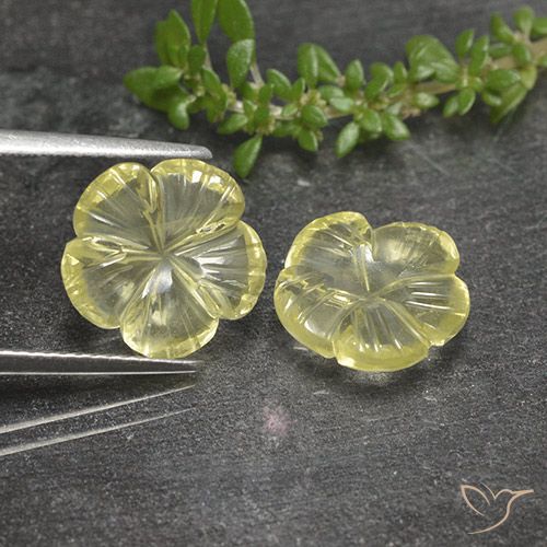 5.52ctw Naturel Jaune pâle Quartz, Taille Fleur, Transparent