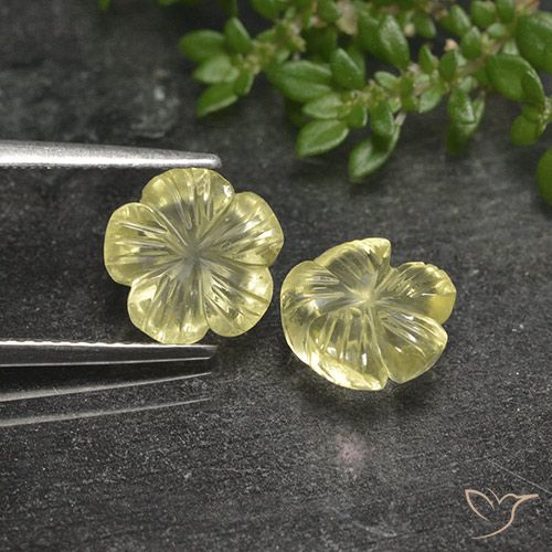 3.99ctw Naturel Jaune pâle Quartz, Taille Fleur, Transparent