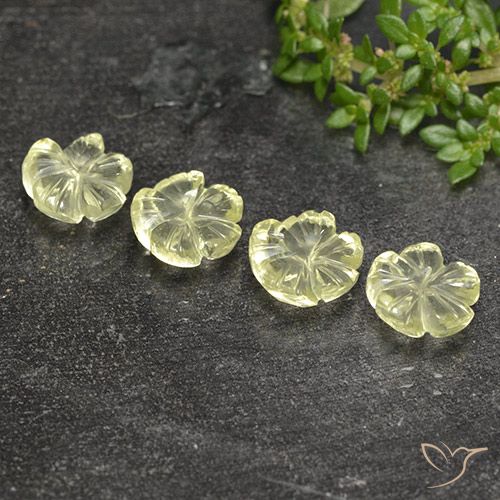 5.77ctw Naturel Jaune verdâtre clair Quartz, Taille Fleur, Transparent