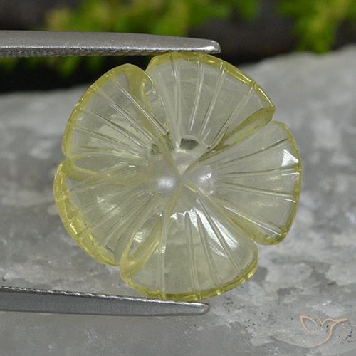 7.41ct Naturel Jaune citron Quartz, Taille Fleur, Transparent, Photo A