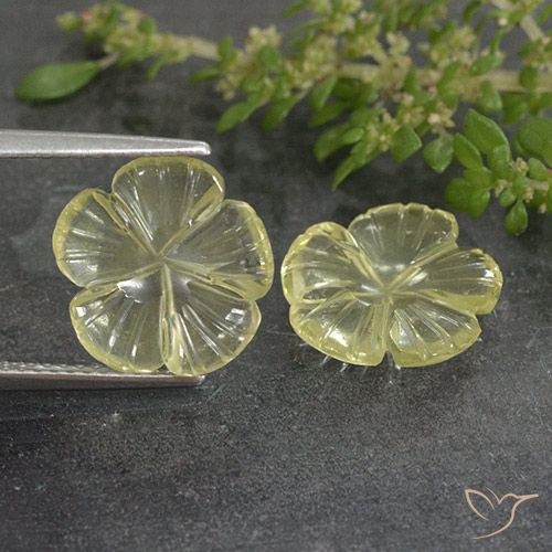4.80ctw Naturel Jaune clair Quartz, Taille Fleur, Transparent