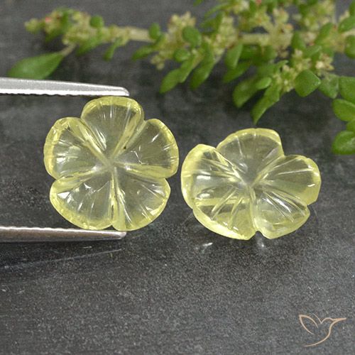 4.19ctw Naturel Jaune clair Quartz, Taille Fleur, Transparent