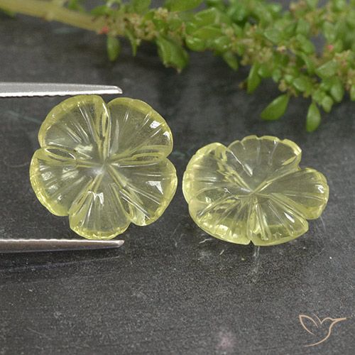 6.37ctw Naturel Jaune clair Quartz, Taille Fleur, Transparent