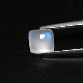 Pierre de lune arc-en-ciel blanc naturelle transparent, 1,08 ct, transparent / translucide
