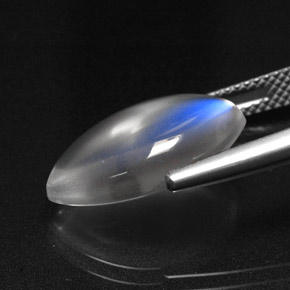 Pierre de lune arc-en-ciel Bleu blanc naturelle Transparent, 6.99 ct, Transparent / Translucide