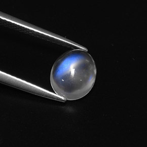 Pierre de lune arc-en-ciel blanc naturelle coupe ovale, 1,57 ct, transparent