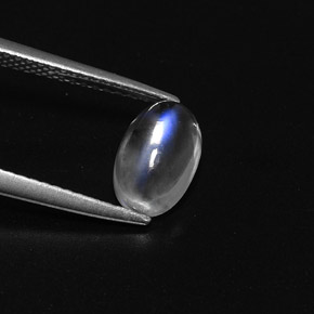 Pierre de lune arc-en-ciel blanc naturelle coupe ovale, 1,50 ct, transparent