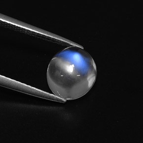 Pierre de lune arc-en-ciel blanc naturelle coupe ovale, 2,42 ct, transparent