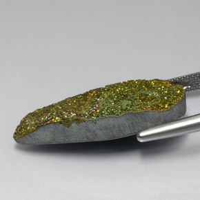 Pyrite arc-en-ciel Multicolore naturelle En forme de poire, 16.71 ct, Opaque