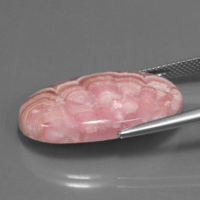 Rhodochrosite multicolore naturelle coupe ovale, 22,52 ct, opaque